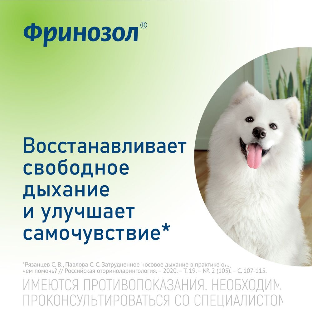 Фринозол, 2.5 мг+2.5 мг, спрей назальный, 15 мл, 1 шт.