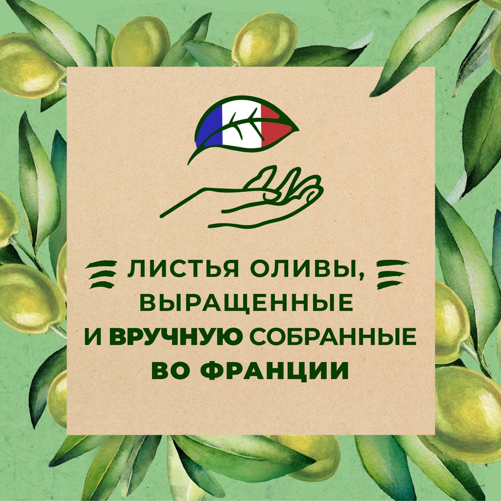 Le Petit Marseillais Organic Гель для душа Листья Оливы, гель для душа, 250 мл, 1 шт.