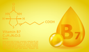 Биотин (витамин B7, H) — роль для организма человека
