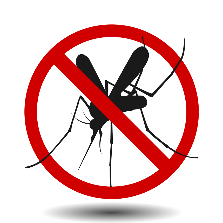 Почему комариные укусы так сильно чешутся