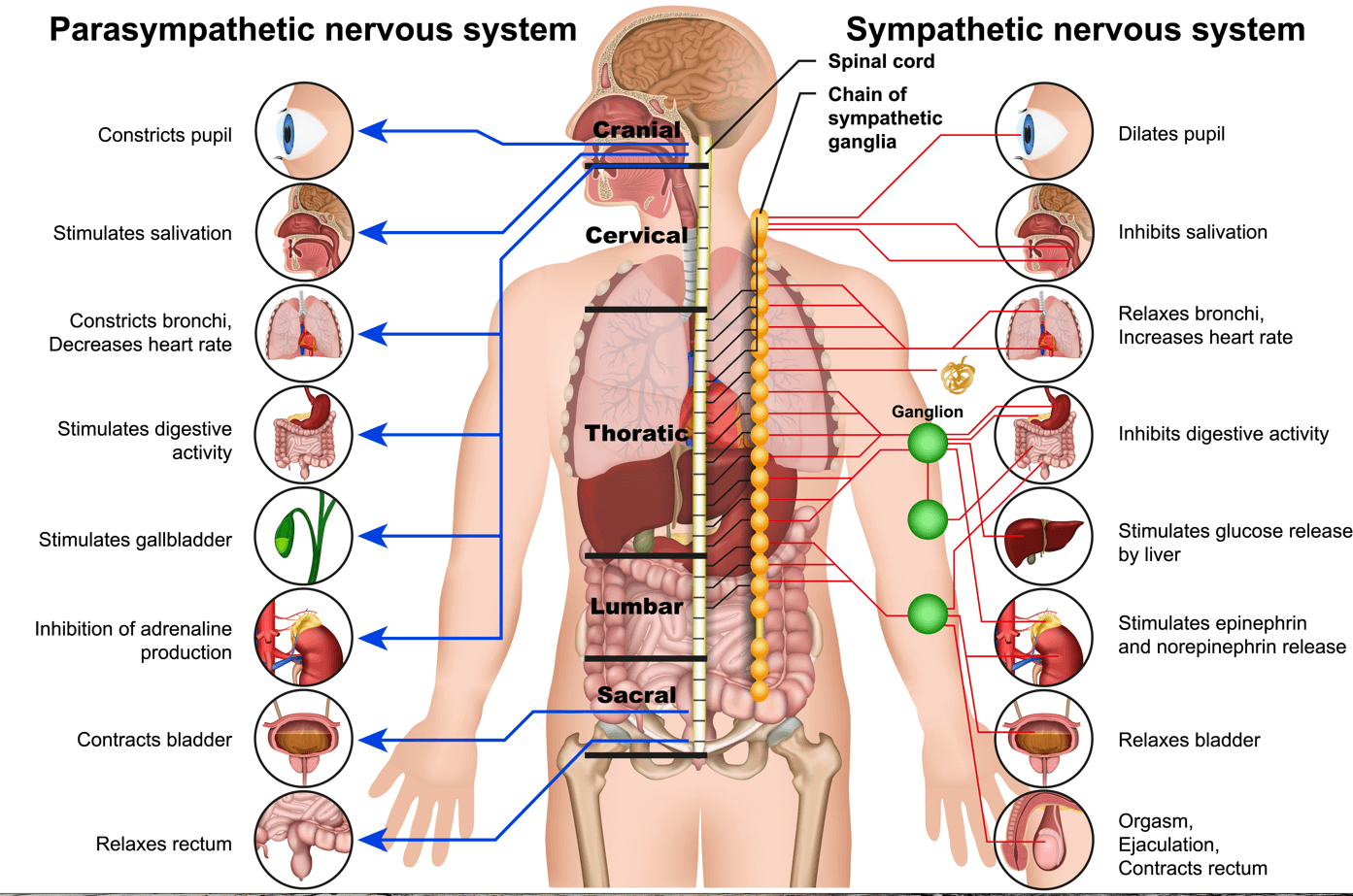 Поражение нервной системы