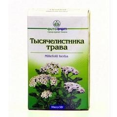 Тысячелистник трава фото применение