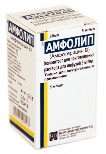 Амфолип, 5 мг/мл, концентрат для приготовления раствора для инфузий, 20 мл, 1 шт.