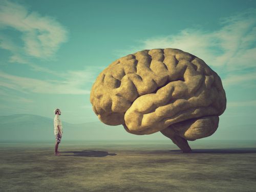 Как выглядит мозг бесстрашного человека — и можно ли сделать свой таким же?