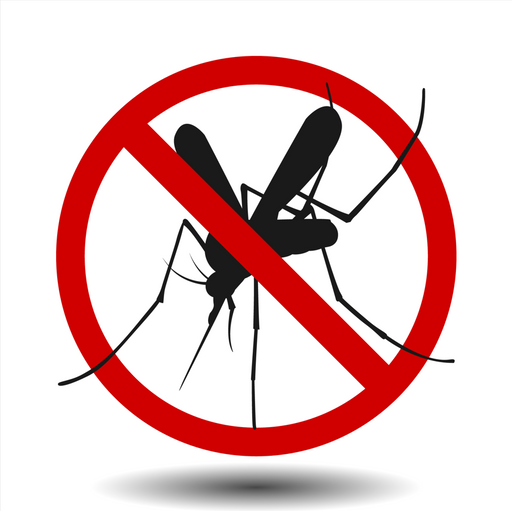 Укусы комара: симптомы аллергической реакции, помощь и профилактика