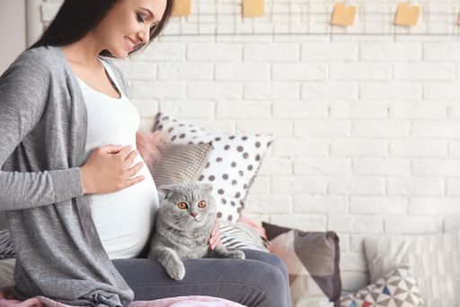 Токсоплазмоз у беременных: чем опасны кошки?