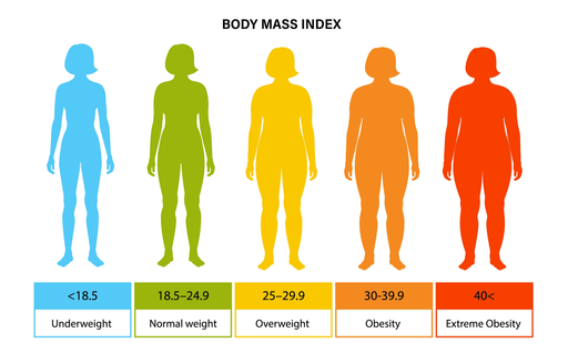 Определяем состояние здоровья по индексу массы тела