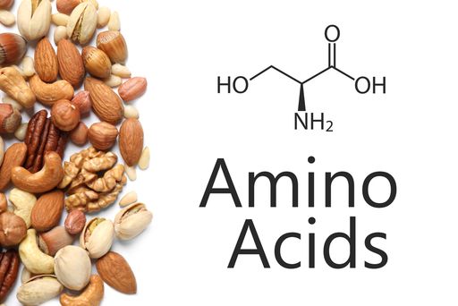 Незаменимые аминокислоты: что нужно знать о важных для организма веществах