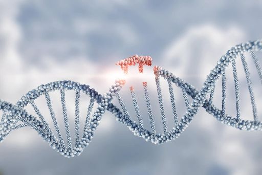 Мутация генов и ее последствия