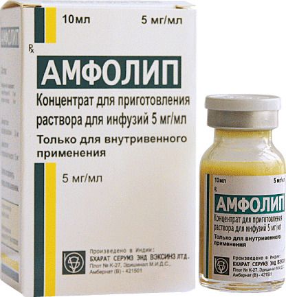 Амфолип, 5 мг/мл, концентрат для приготовления раствора для инфузий, 10 мл, 1 шт.
