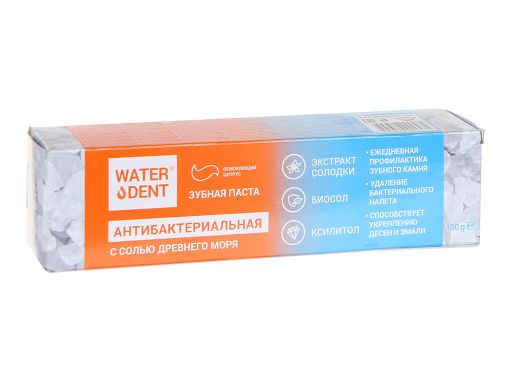 Waterdent Паста зубная антибактериальная, с солью Древнего моря, 100г, 1 шт.