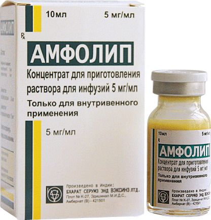 Амфолип, 5 мг/мл, концентрат для приготовления раствора для инфузий, 10 мл, 1 шт.