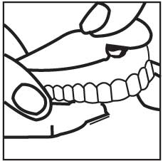 Инструкция по применению Протефикс прокладки фиксирующие, прокладки для зубных протезов, для верхней челюсти, 30 шт. - схема 3